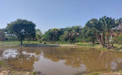 Fazenda à venda com 4 quartos, 50000m² - Foto 14