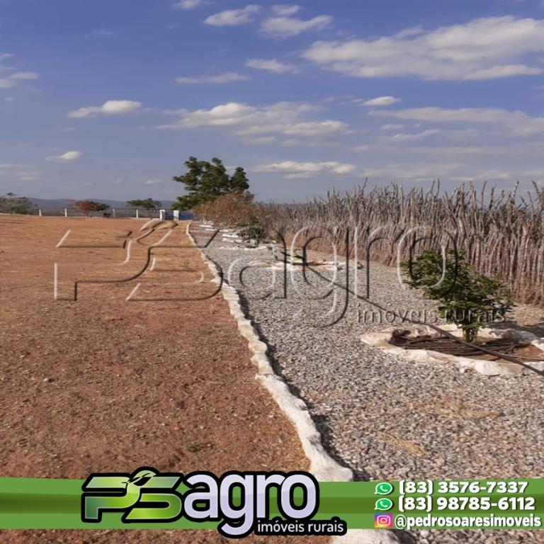Fazenda-Sítio-Chácara, 60 hectares - Foto 3