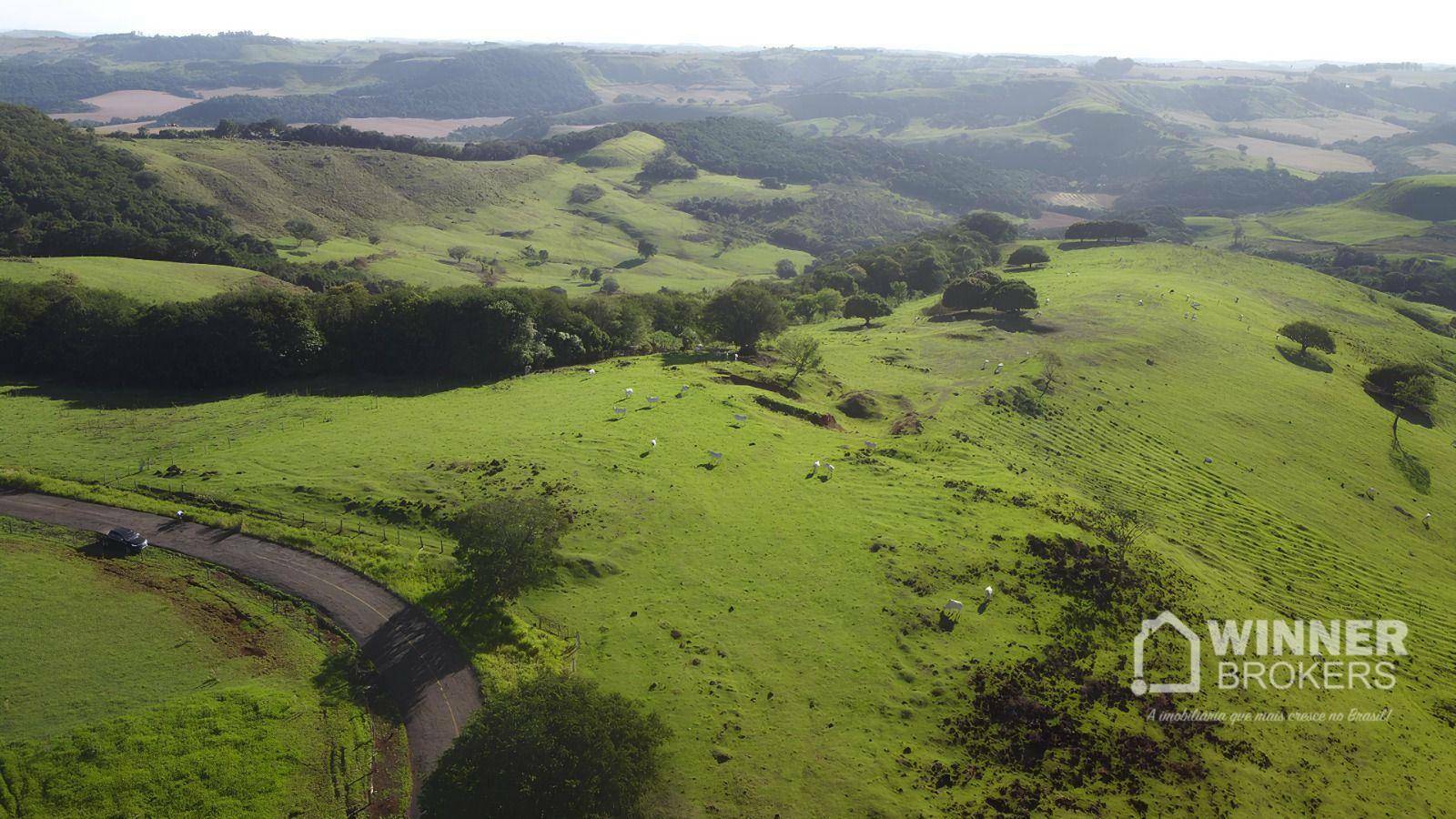 Fazenda à venda com 6 quartos, 600m² - Foto 7