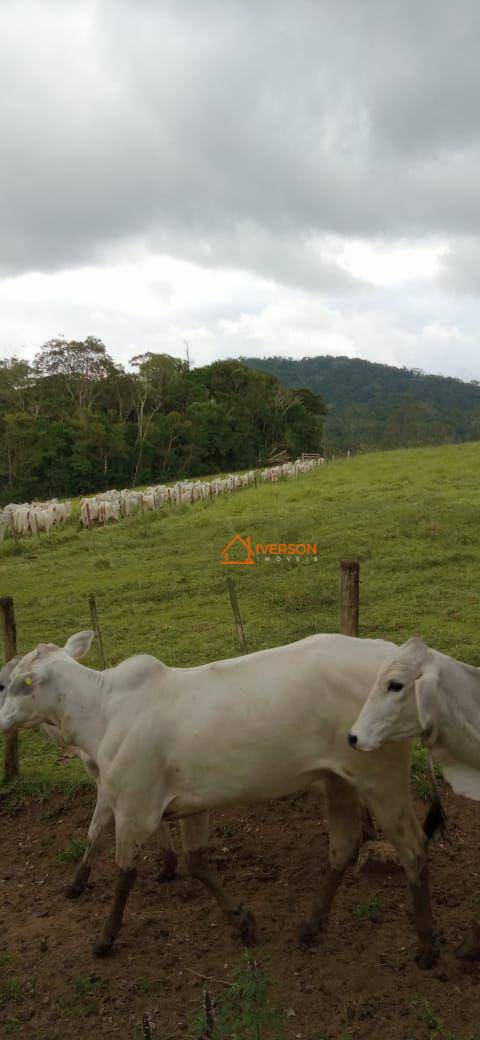 Fazenda à venda com 2 quartos, 2662000M2 - Foto 10