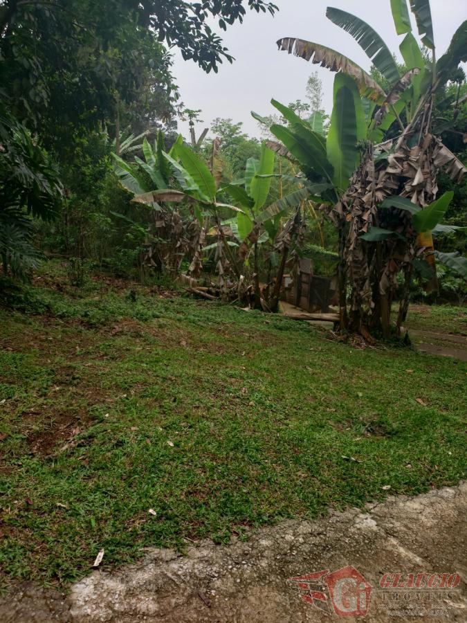 Terreno à venda, 3500m² - Foto 6