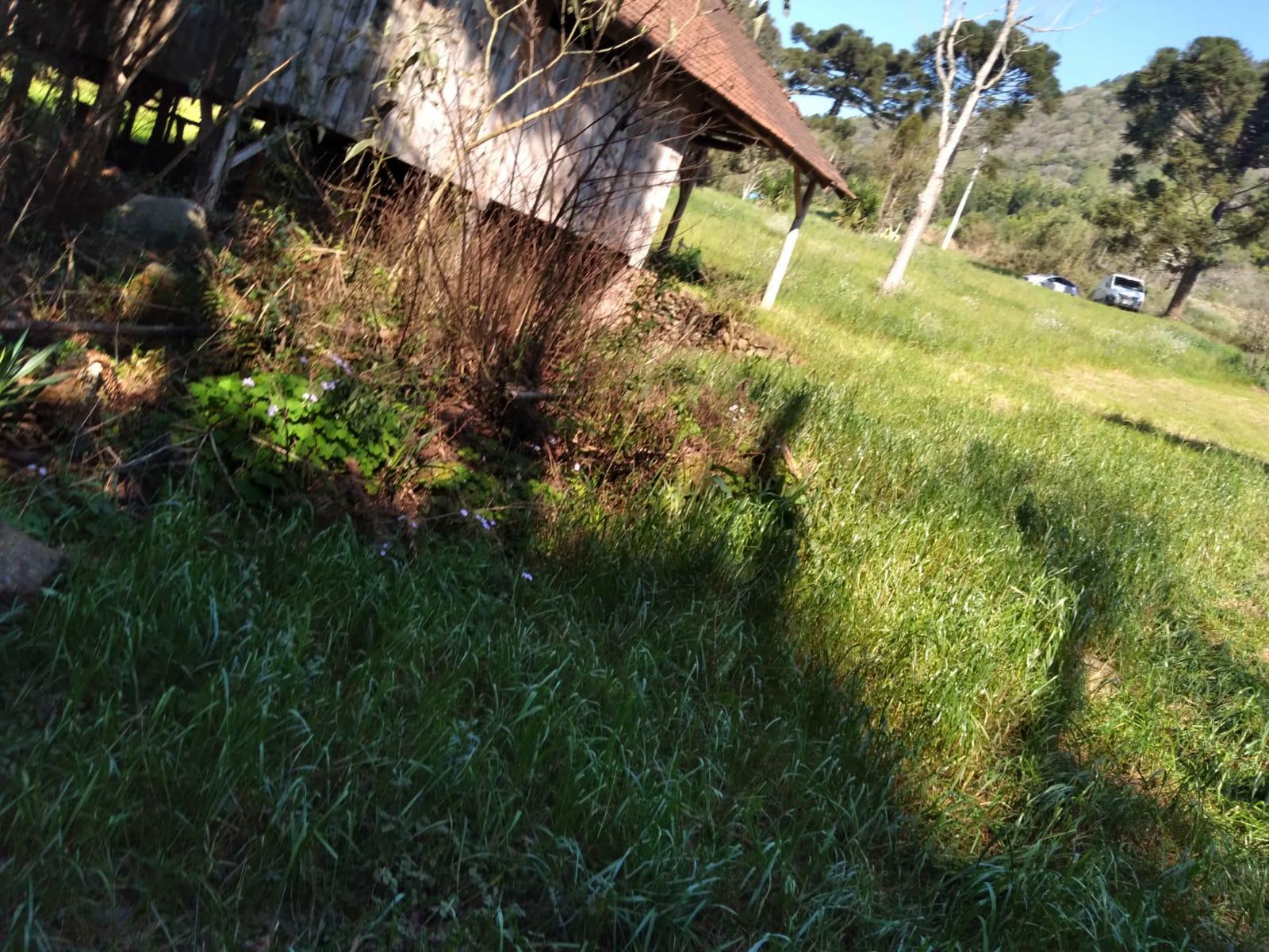 Sítio à venda com 1 quarto, 90m² - Foto 26