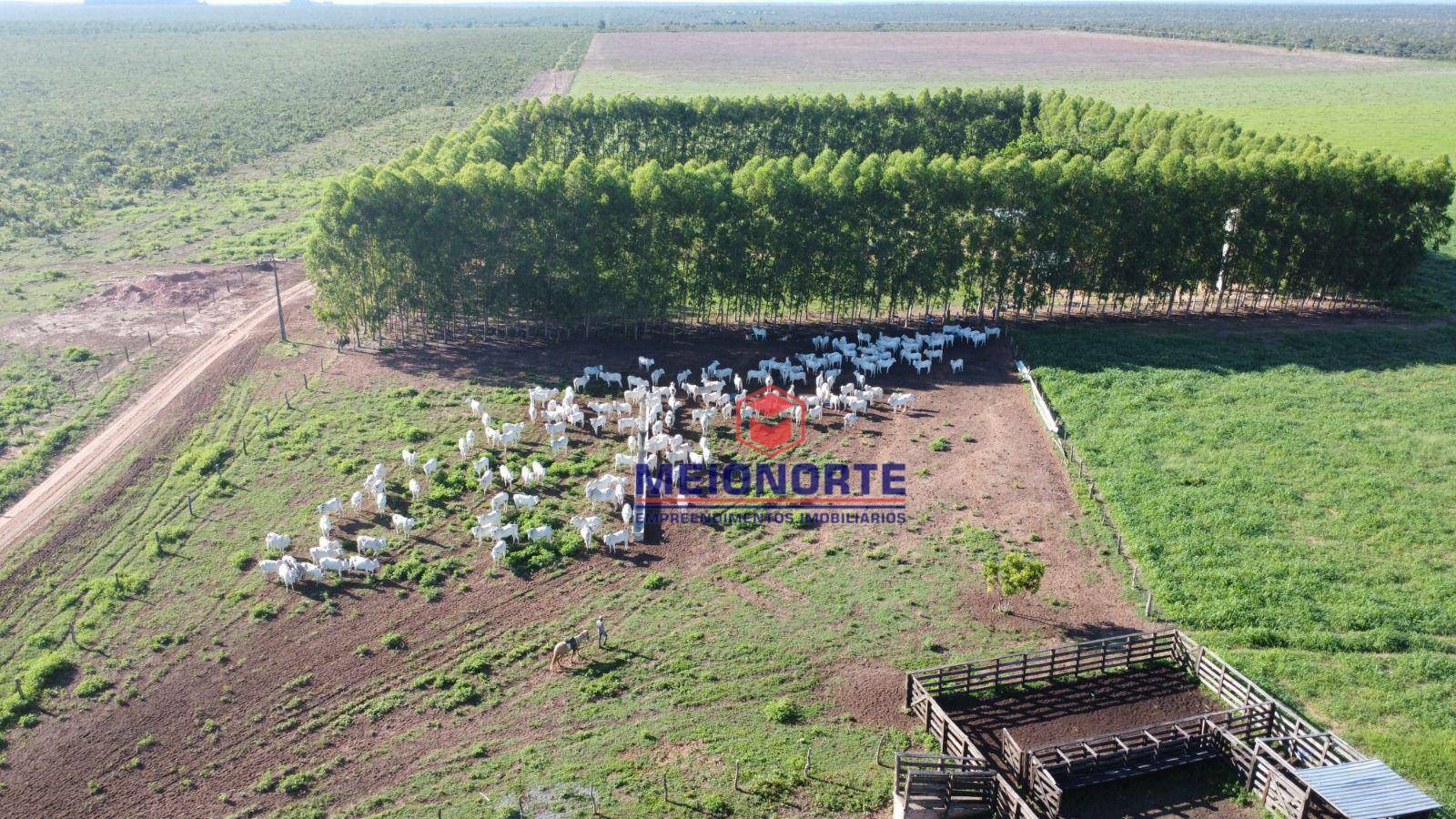 Fazenda à venda com 1 quarto, 7810000M2 - Foto 1