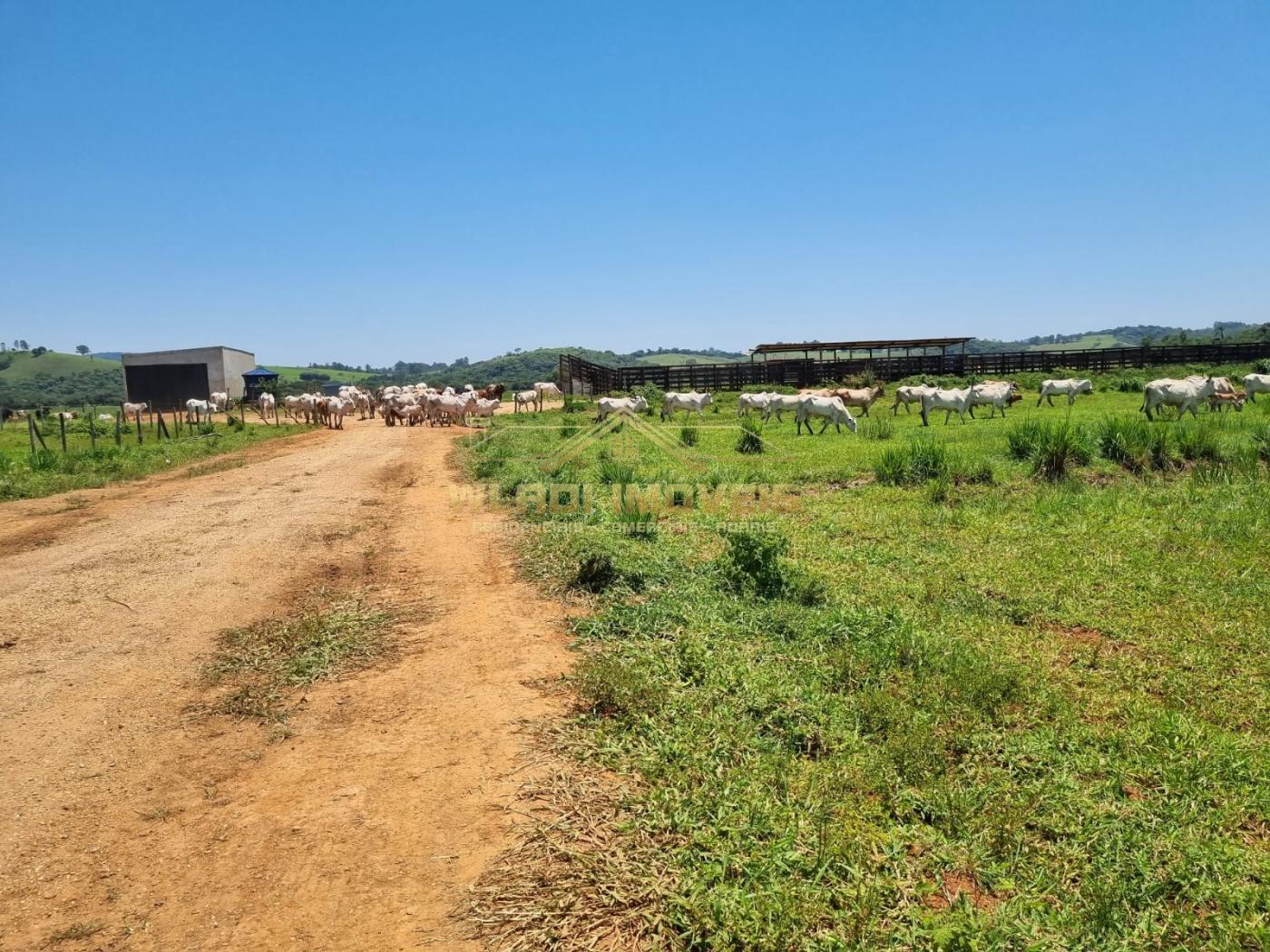 Loteamento e Condomínio à venda, 175m² - Foto 2