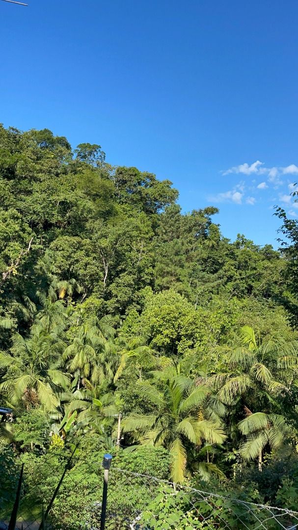 Casa à venda com 3 quartos, 1000M2 - Foto 5