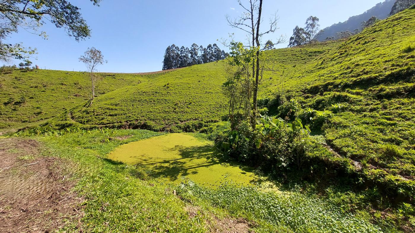 Sítio à venda, 50000m² - Foto 4
