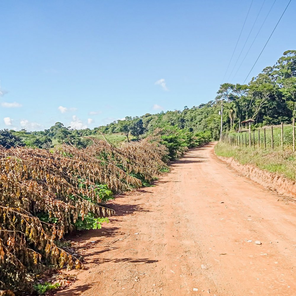 Fazenda à venda, 22553m² - Foto 13