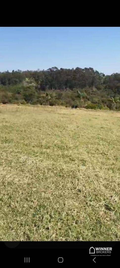 Terreno, 2 hectares - Foto 3