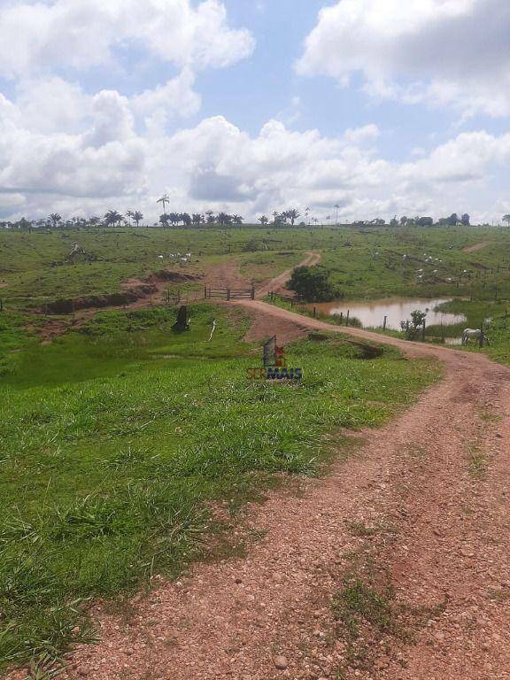 Fazenda à venda com 1 quarto, 3533200M2 - Foto 15