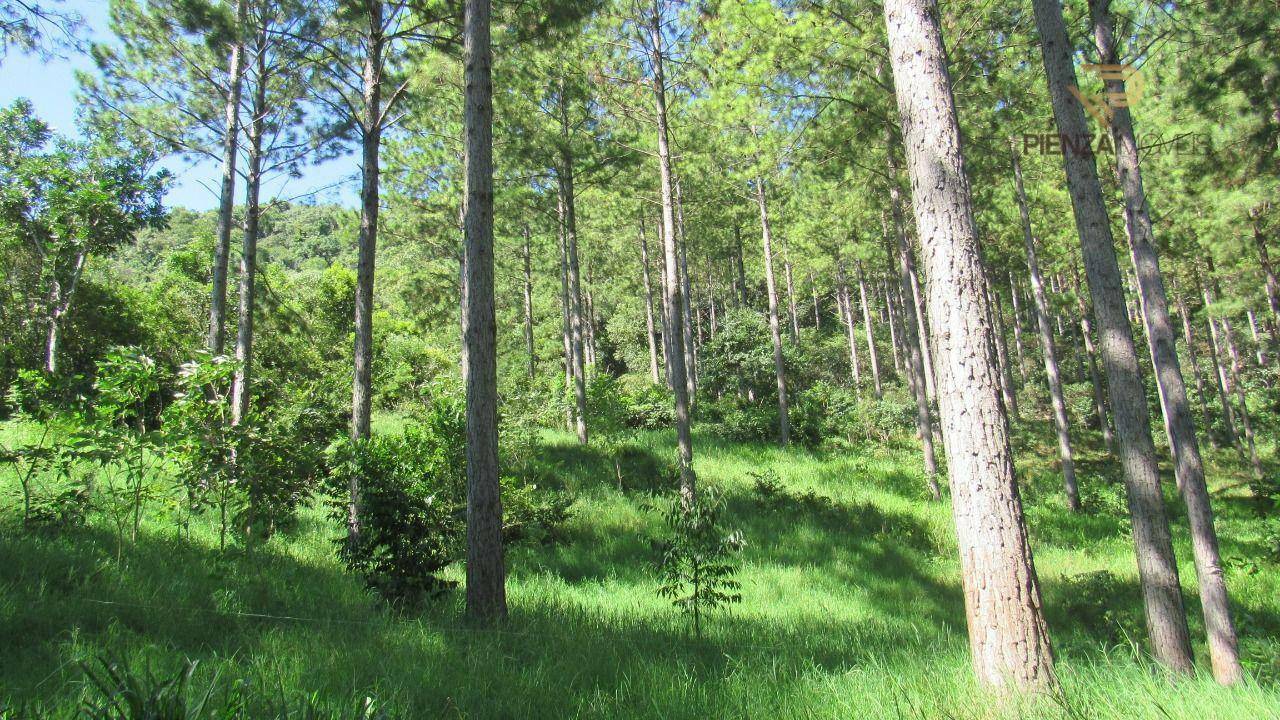 Terreno à venda, 223000M2 - Foto 13