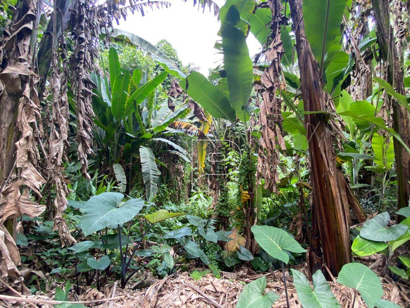 Loteamento e Condomínio à venda, 1000M2 - Foto 4