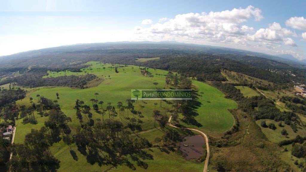 Fazenda à venda com 3 quartos, 1600m² - Foto 7