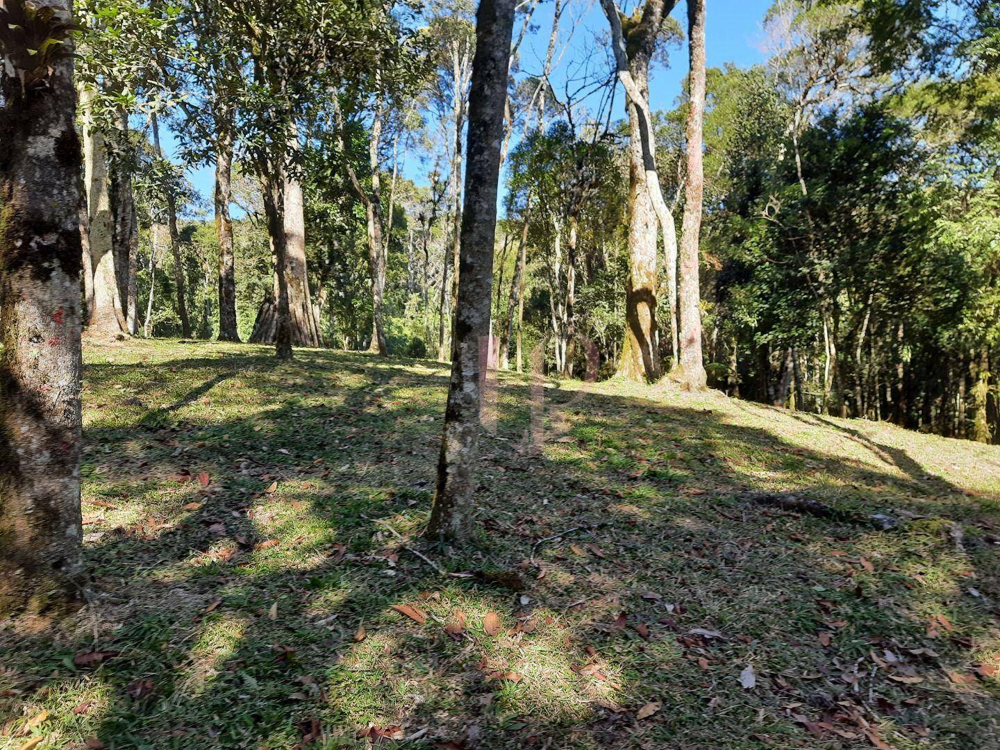 Terreno à venda, 7000M2 - Foto 19