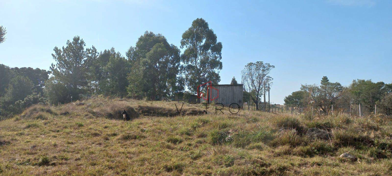 Terreno à venda, 2319M2 - Foto 7