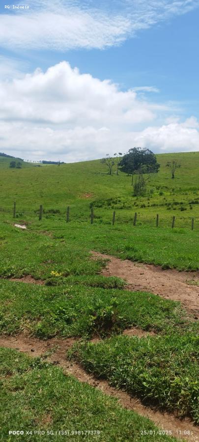 Sítio à venda com 2 quartos, 726000m² - Foto 14