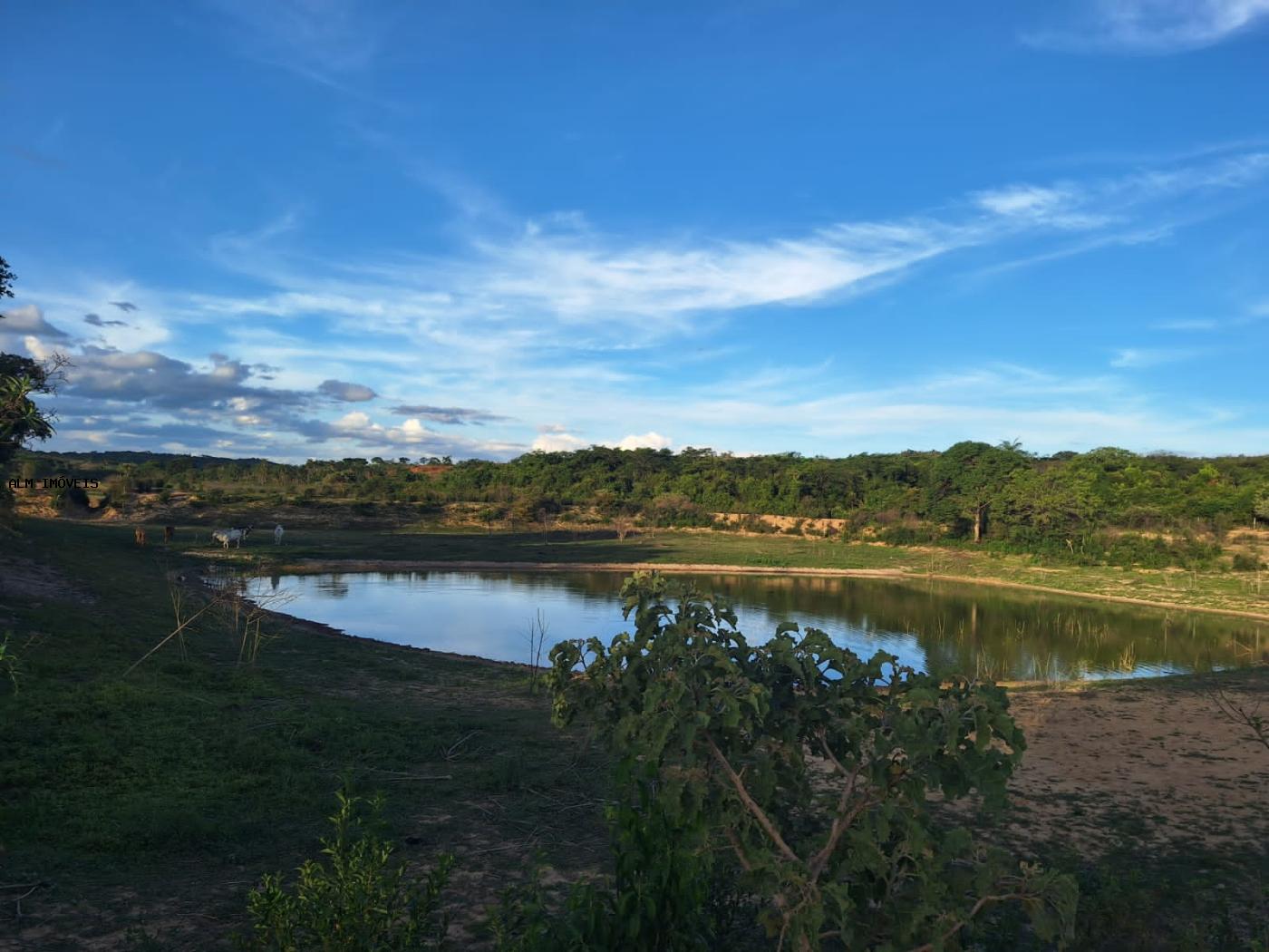 Fazenda à venda, 26000m² - Foto 4