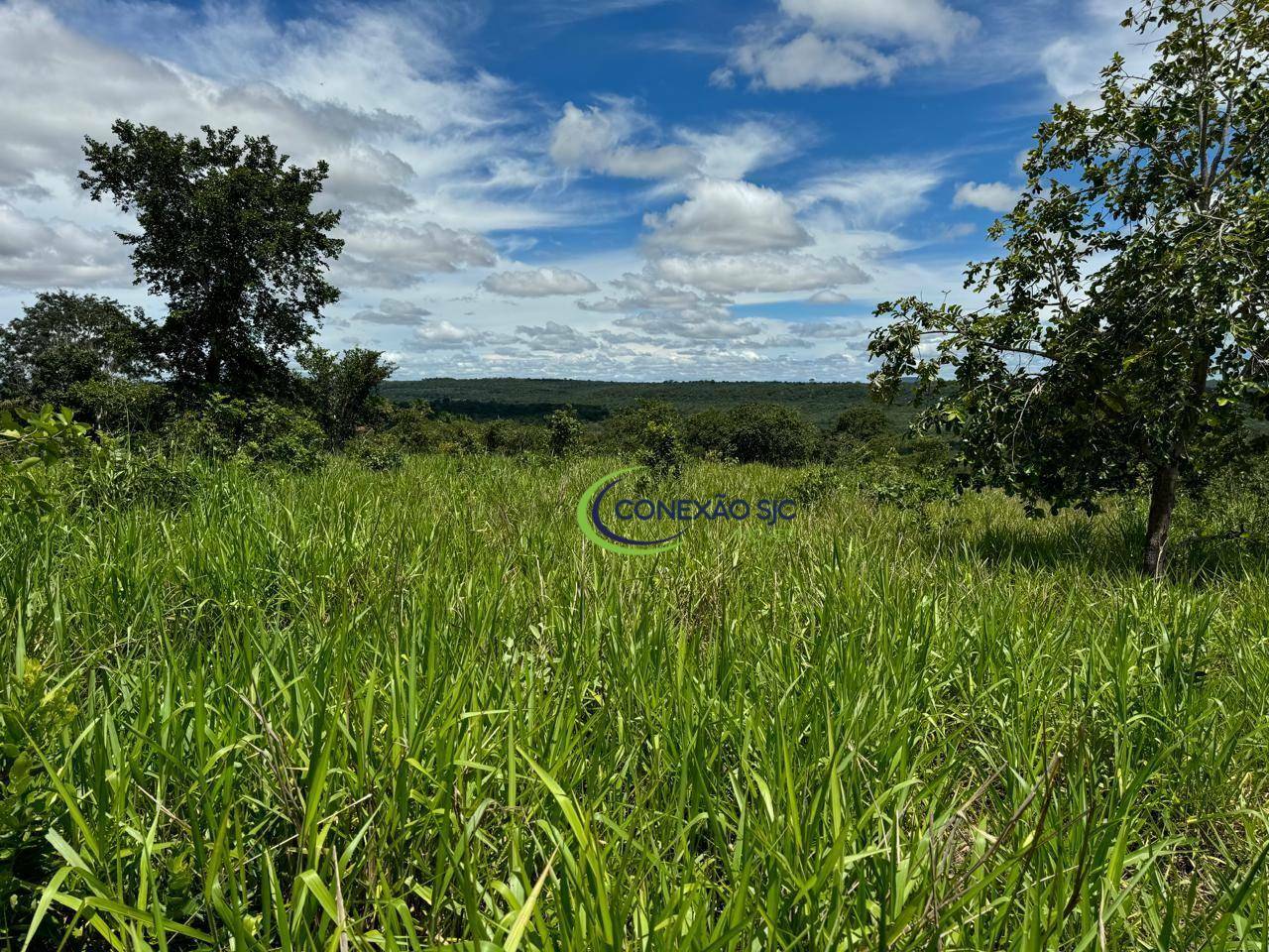 Fazenda à venda com 3 quartos, 19360000M2 - Foto 25