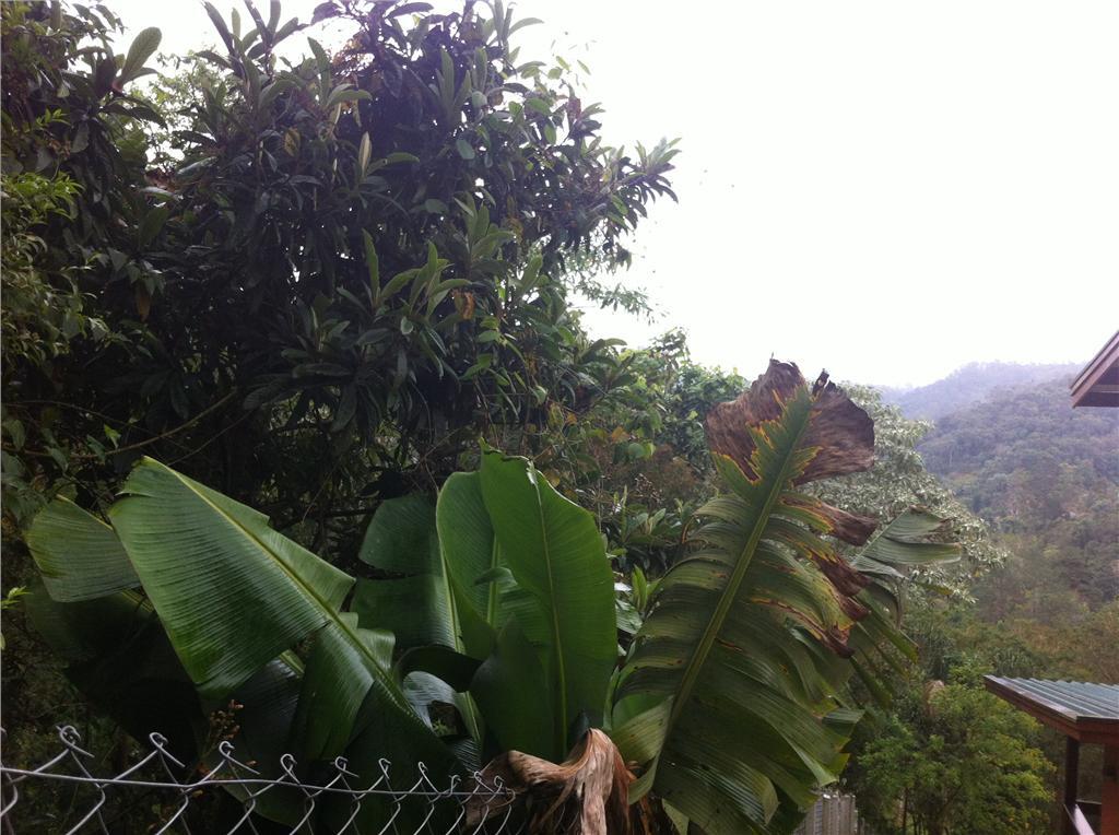 Loteamento e Condomínio à venda, 2000M2 - Foto 6