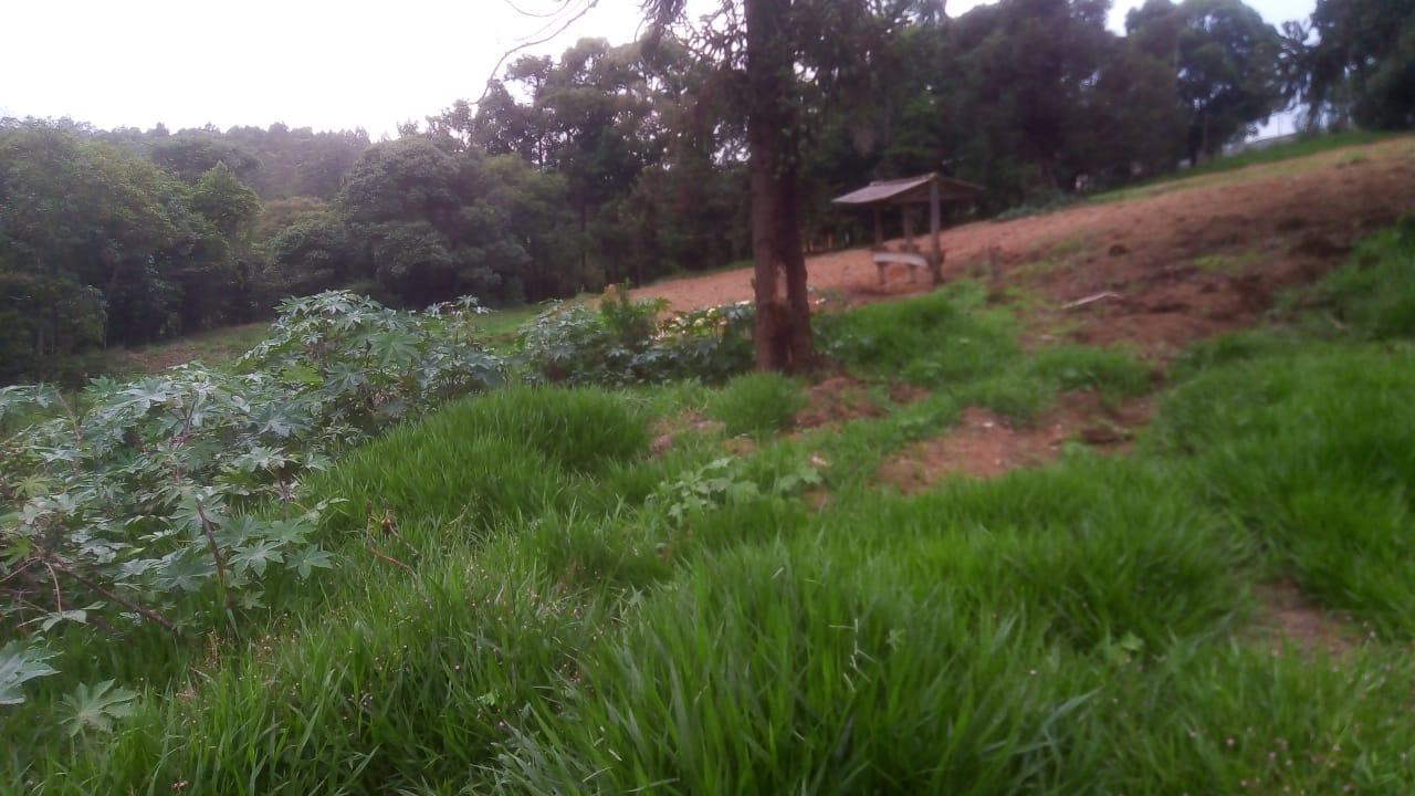 Sítio à venda com 2 quartos, 15000m² - Foto 10