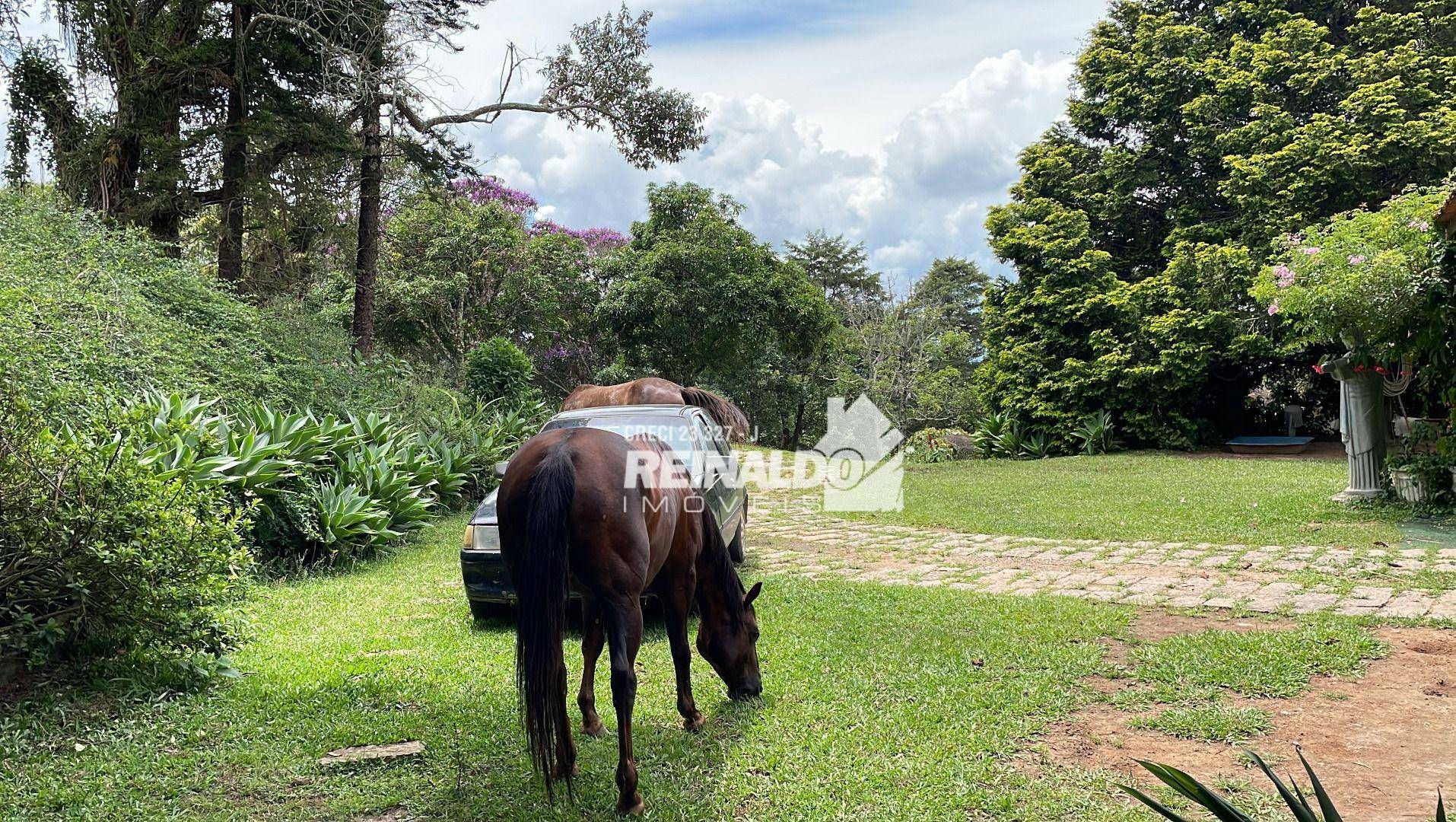 Sítio à venda com 4 quartos, 400m² - Foto 17