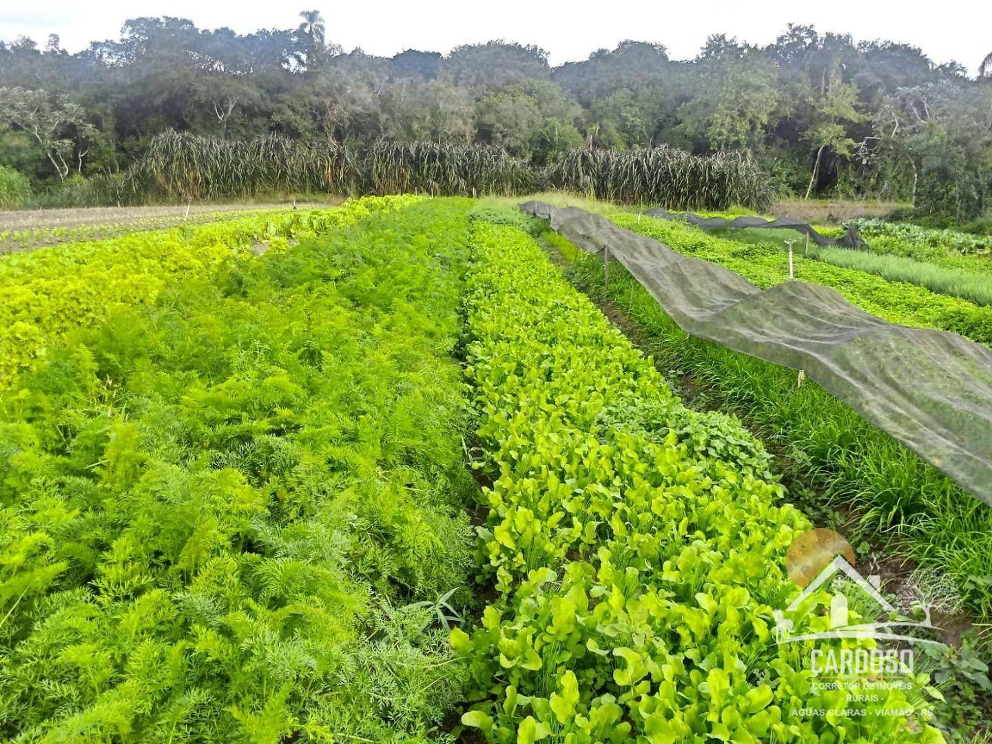 Sítio à venda, 100000M2 - Foto 2