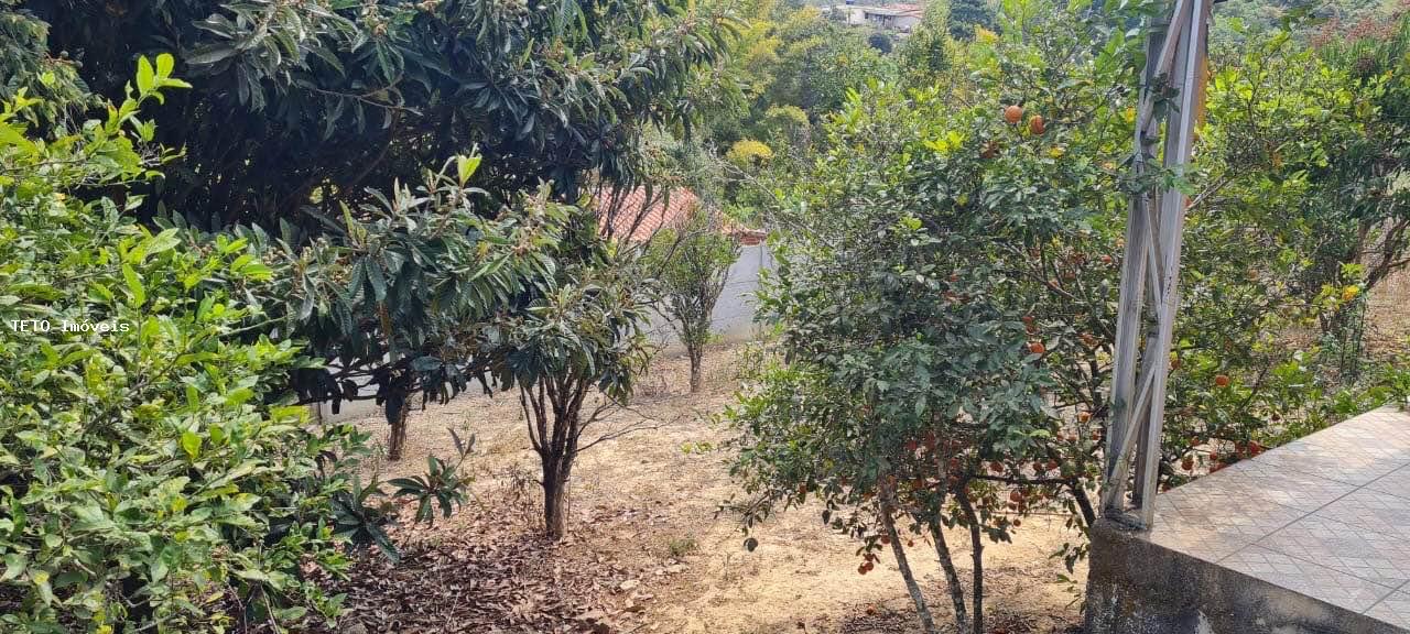 Chácara à venda com 2 quartos, 900m² - Foto 11
