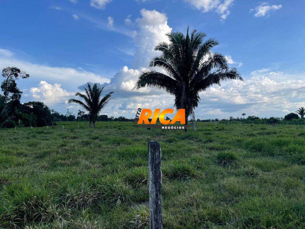 Sítio, 40 hectares - Foto 23