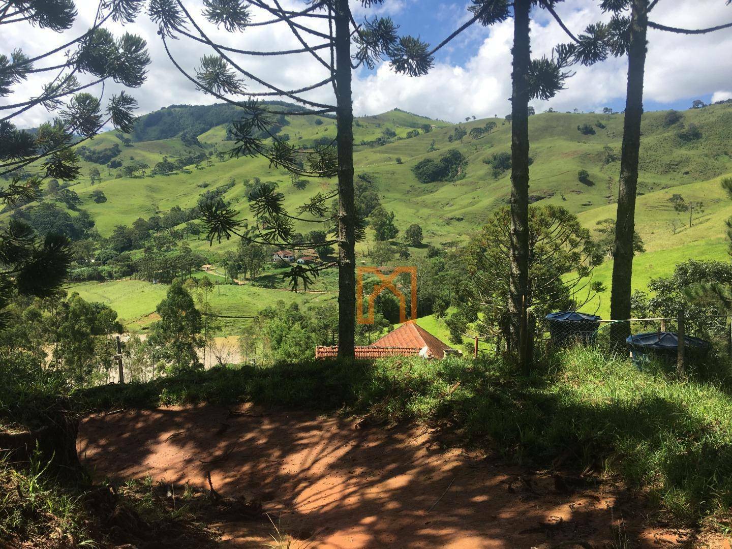 Fazenda à venda com 4 quartos, 3030000M2 - Foto 21