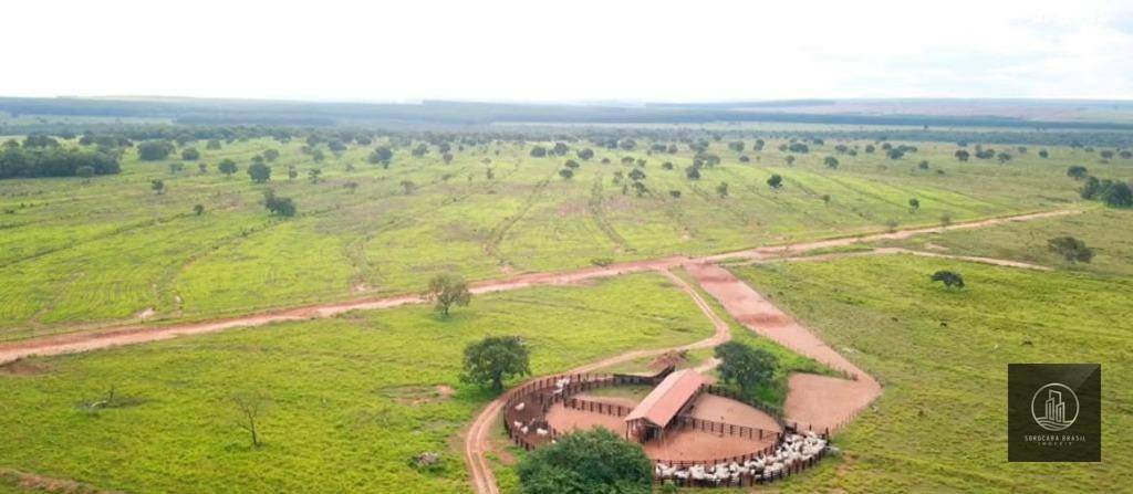 Fazenda à venda, 47720000M2 - Foto 8