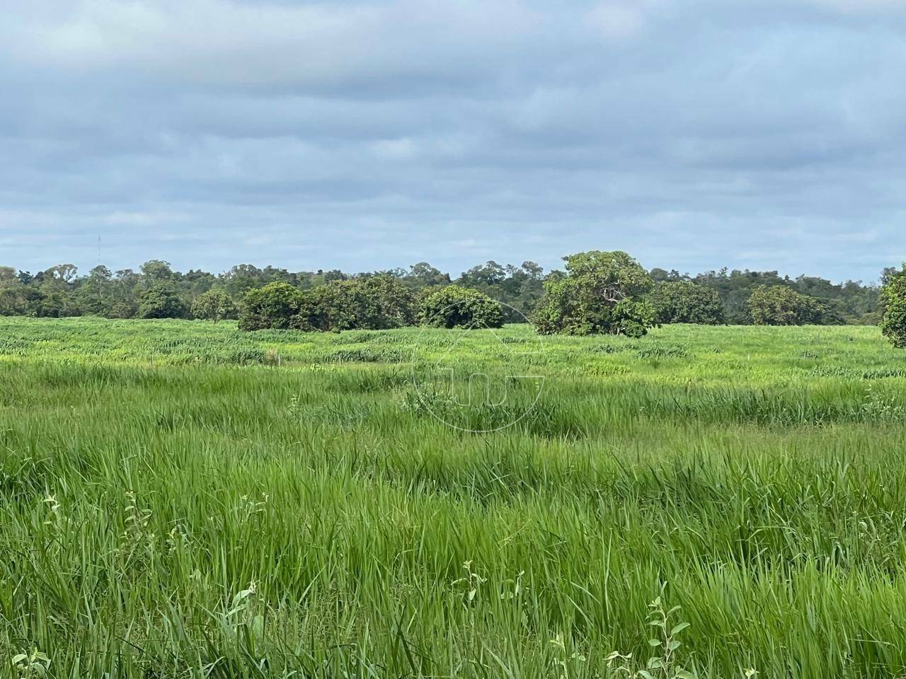 Fazenda à venda, 42910000M2 - Foto 21