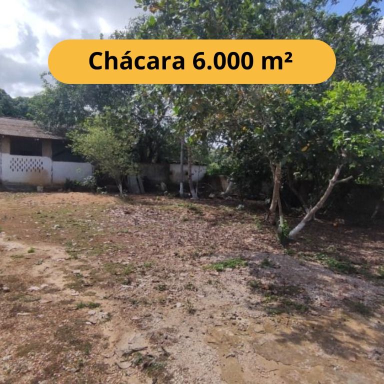 Chácara, 6000 m² - Foto 1