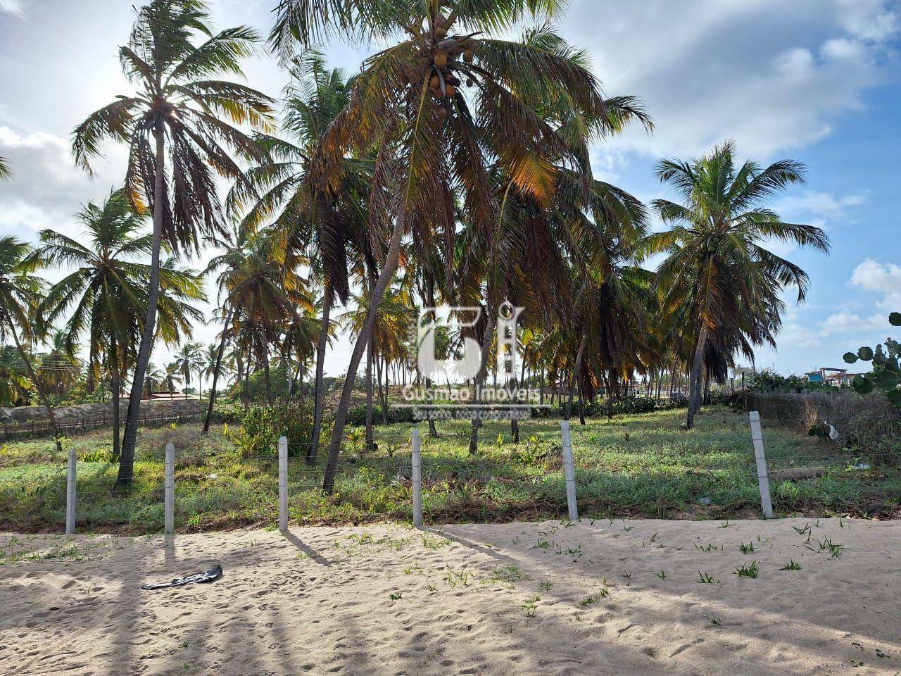 Terreno à venda, 1000M2 - Foto 3