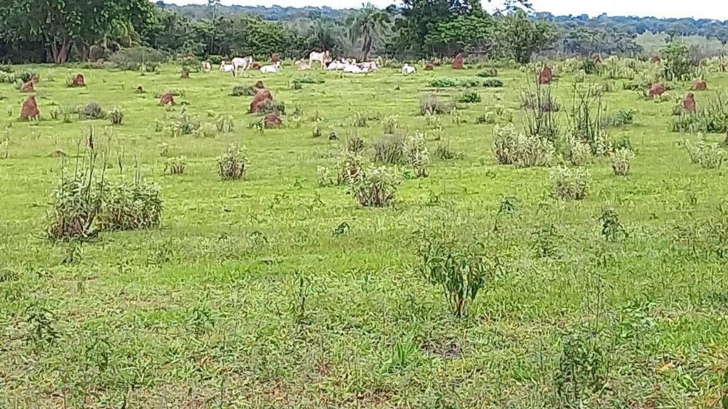 Fazenda à venda com 1 quarto, 4017200m² - Foto 12