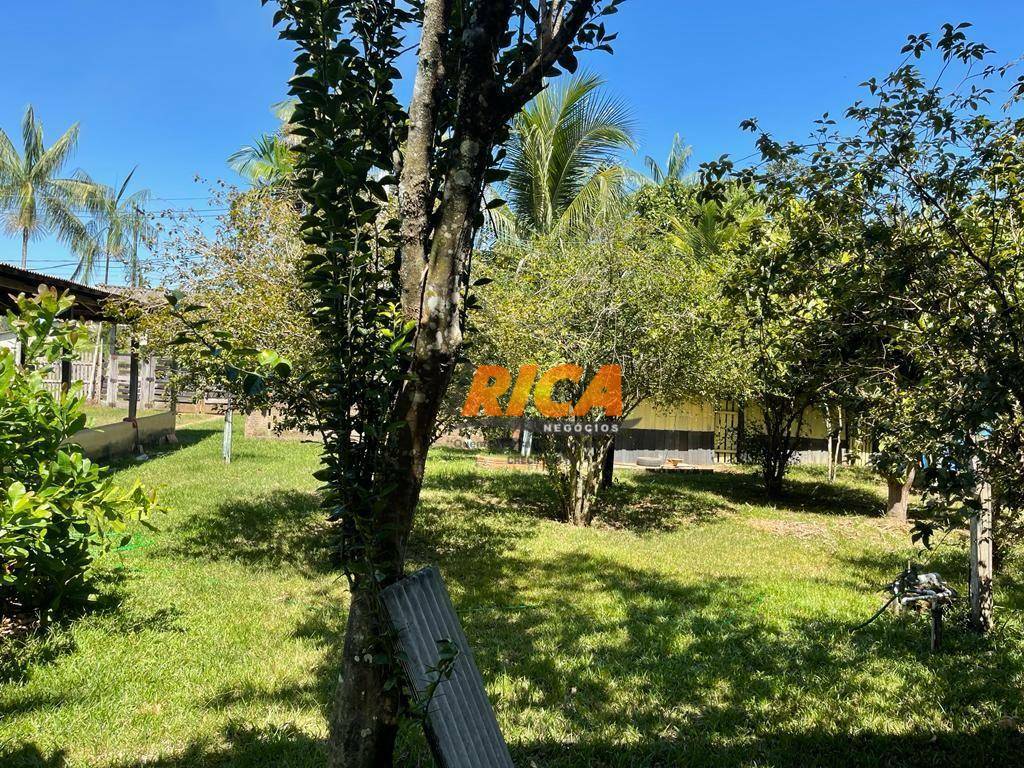 Chácara, 3 quartos, 2 hectares - Foto 32