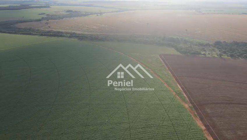 Fazenda à venda, 500m² - Foto 6