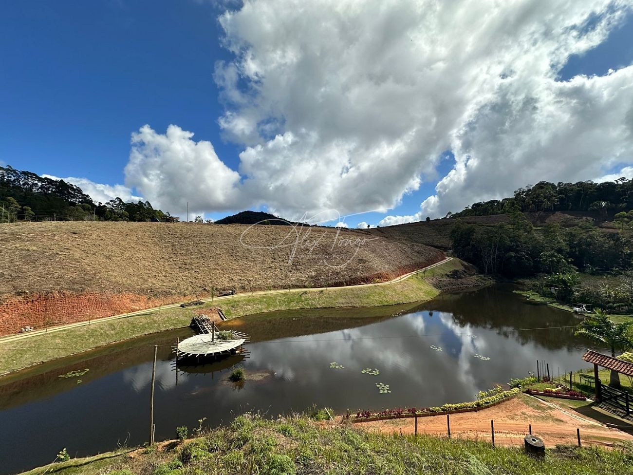 Fazenda à venda, 10000m² - Foto 3