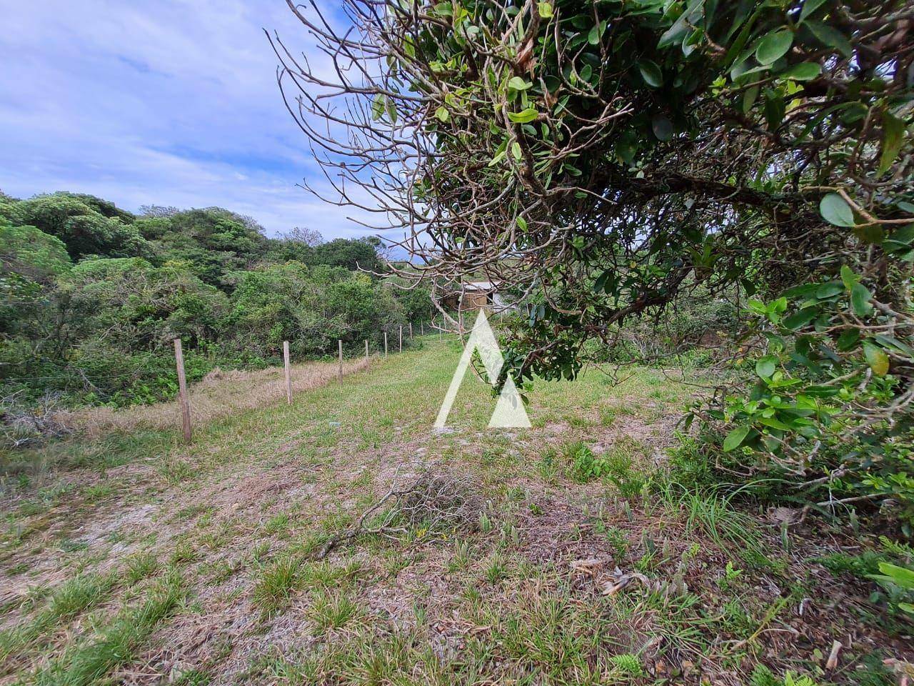 Terreno à venda, 4025M2 - Foto 5