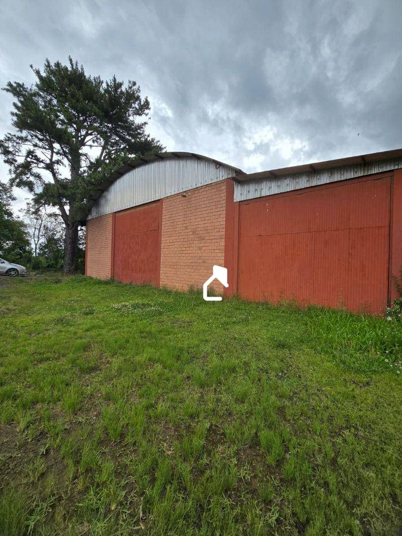 Depósito-Galpão, 400 m² - Foto 3