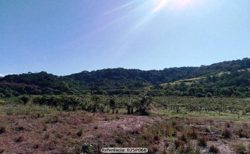 Fazenda à venda com 4 quartos, 120000m² - Foto 27