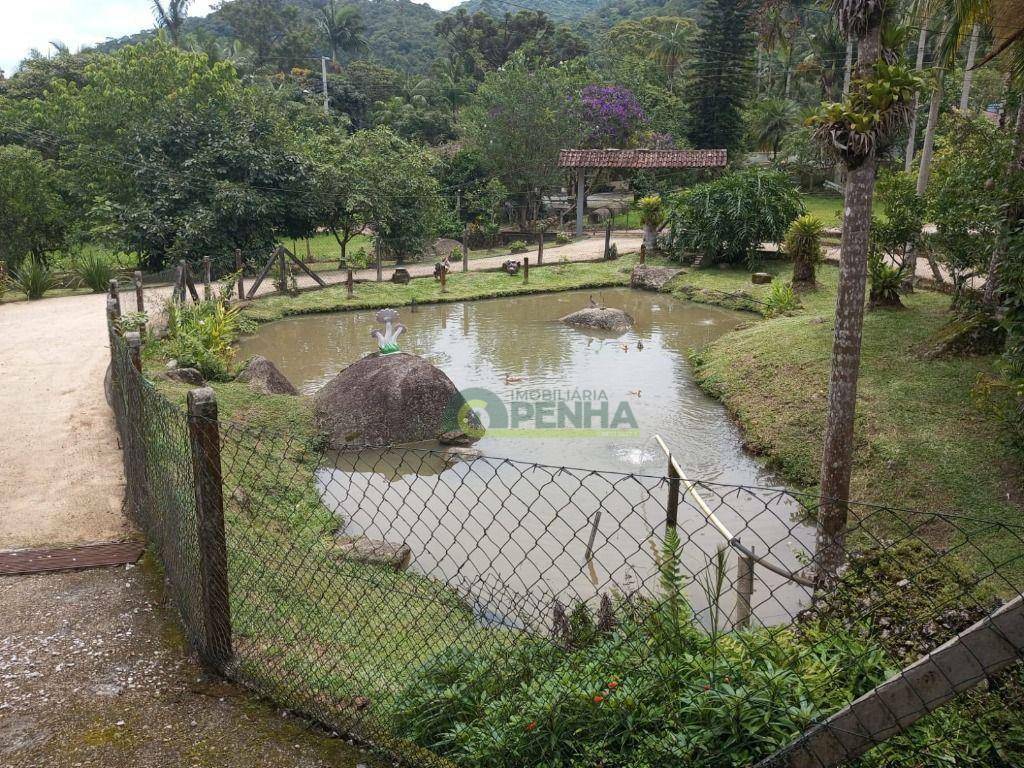 Sítio à venda com 2 quartos, 1800M2 - Foto 6