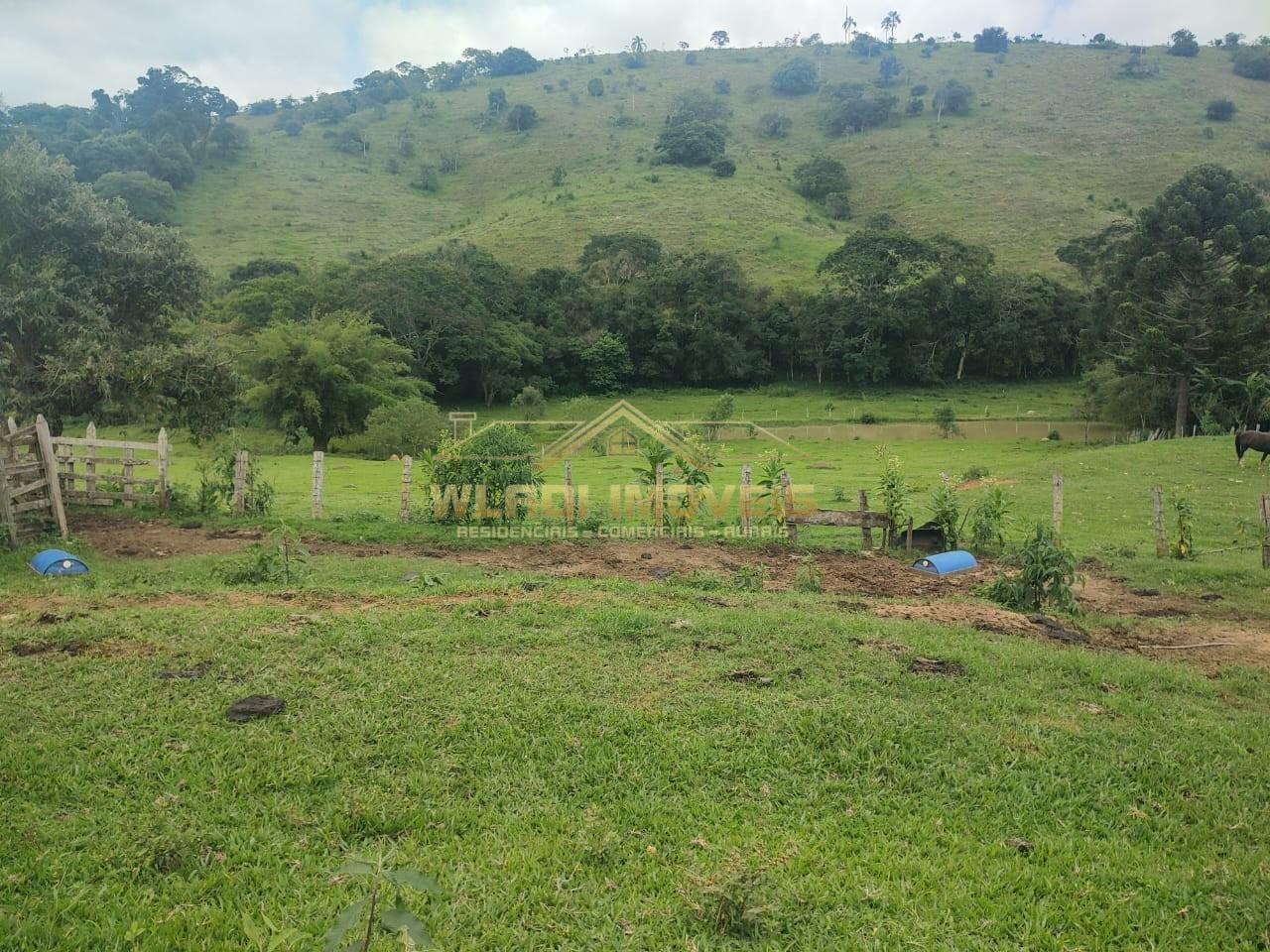 Sítio à venda, 6m² - Foto 3