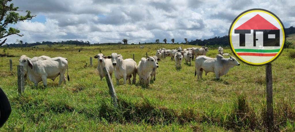 Fazenda à venda, 17085200M2 - Foto 6