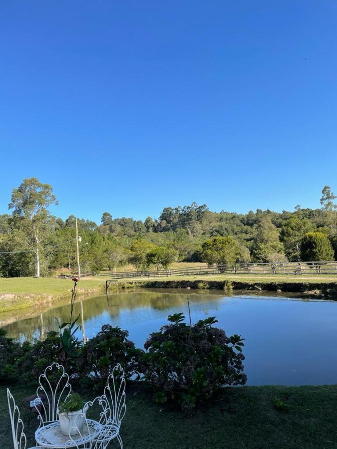 Fazenda à venda com 4 quartos, 130000m² - Foto 38