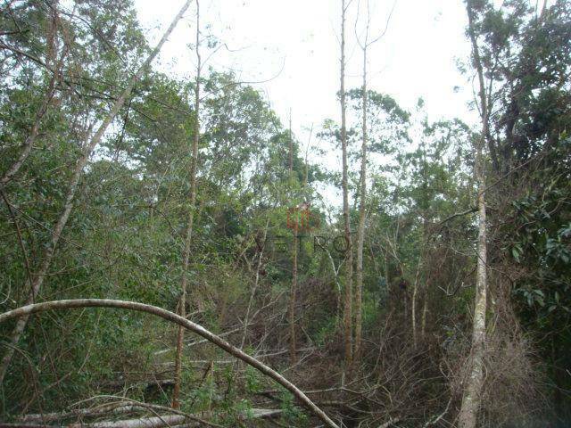 Terreno à venda, 50000M2 - Foto 11