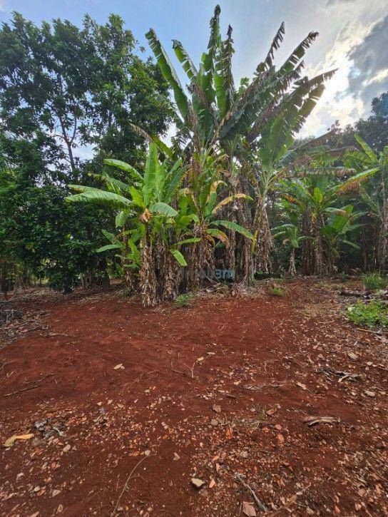 Chácara à venda com 2 quartos, 200m² - Foto 30