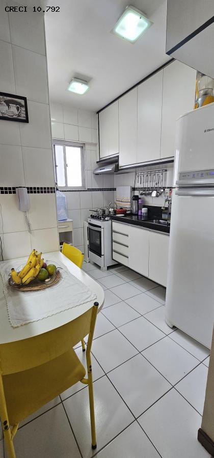 Apartamento à venda com 2 quartos, 54m² - Foto 21