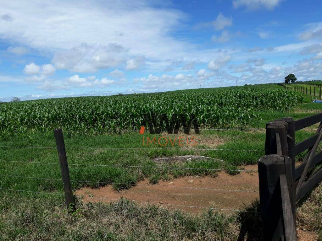 Fazenda à venda, 24248400M2 - Foto 23