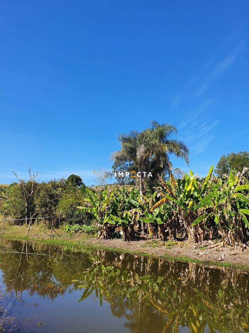 Chácara, 3 quartos, 10000 m² - Foto 4