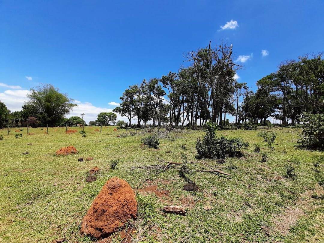 Terreno à venda, 25562M2 - Foto 18