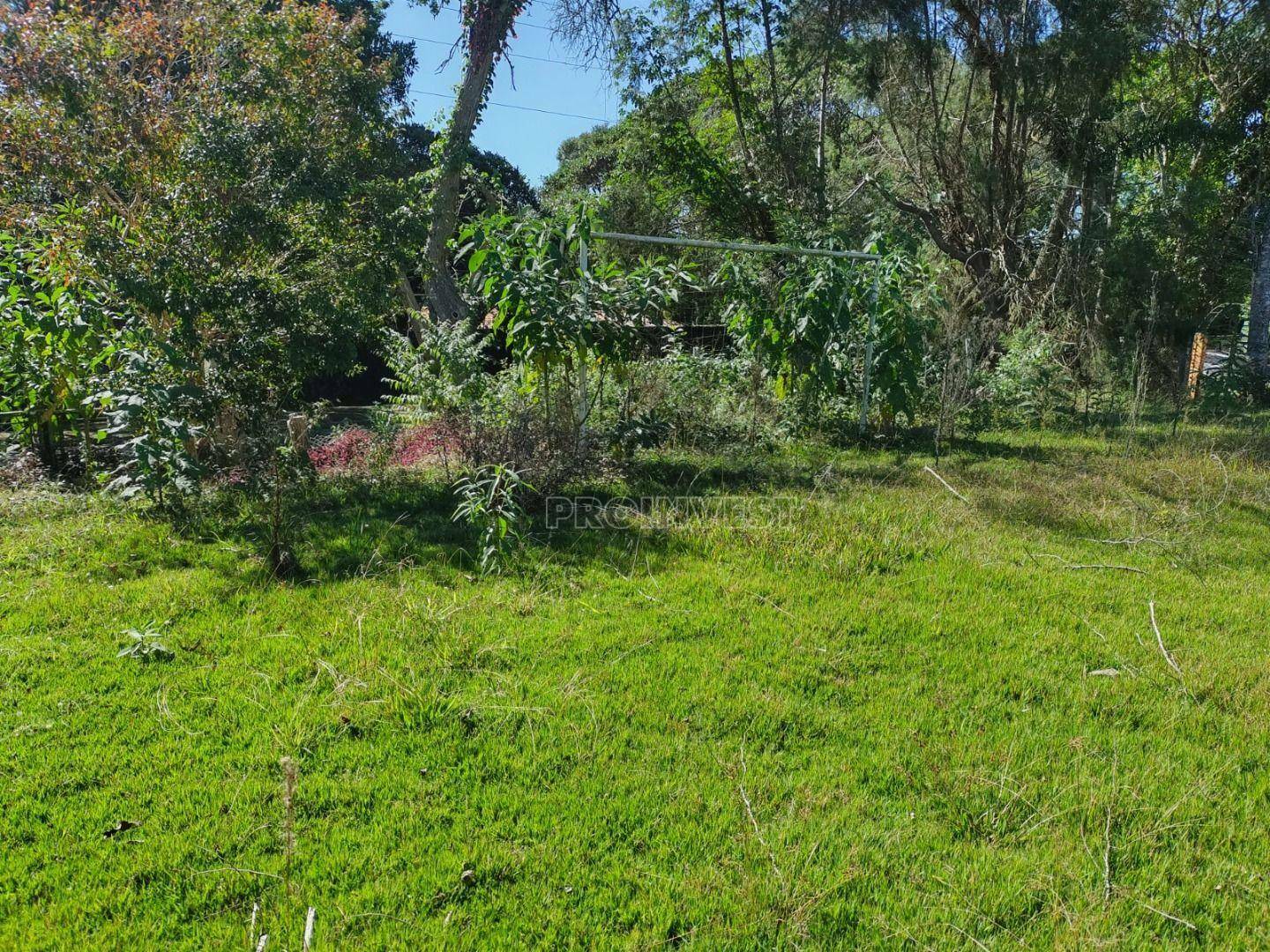 Loteamento e Condomínio à venda, 1181M2 - Foto 7